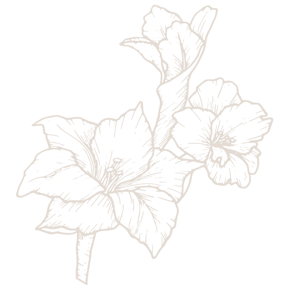 flower-shadow